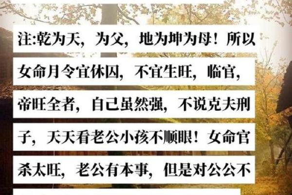 在宅斗中无心无意的命运：一场关于情感与智慧的较量