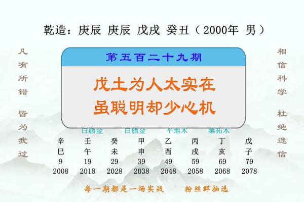 辛酉与戊辰命理解析：揭示命运的奥秘与人生的智慧