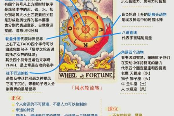 探秘：八字命理与子嗣缘分，揭开没有儿子的命运秘密