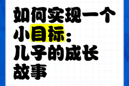 探索“一个半儿子”的命运：家庭、责任与成长之路