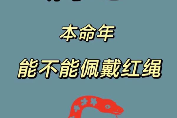 探秘生肖属蛇者的五行命理：金木水火土的深层含义与影响