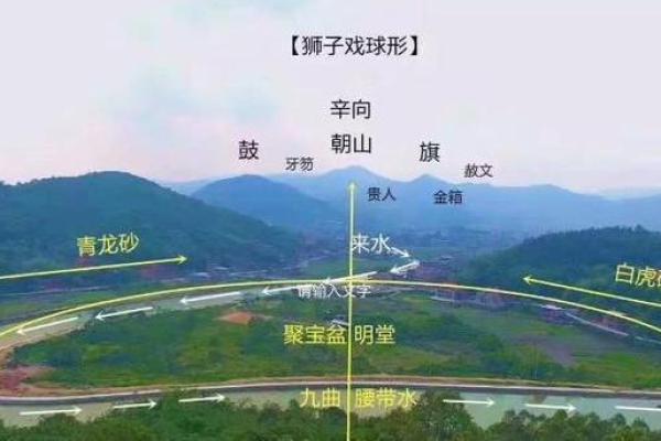 巳酉仙命的葬山向选择：探秘最佳风水之地