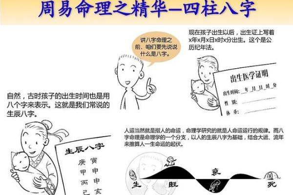 算命中官代表的命，揭示人生的深奥与机遇