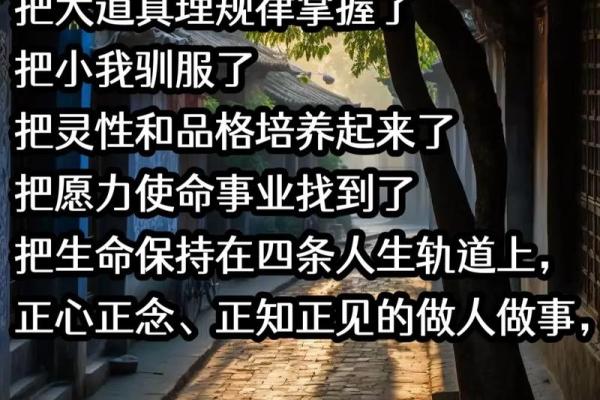 照顾人的五行命理解析：如何让他们的事业与人生更加顺遂