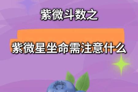 探索紫微命：为何它被视为豪门命的象征