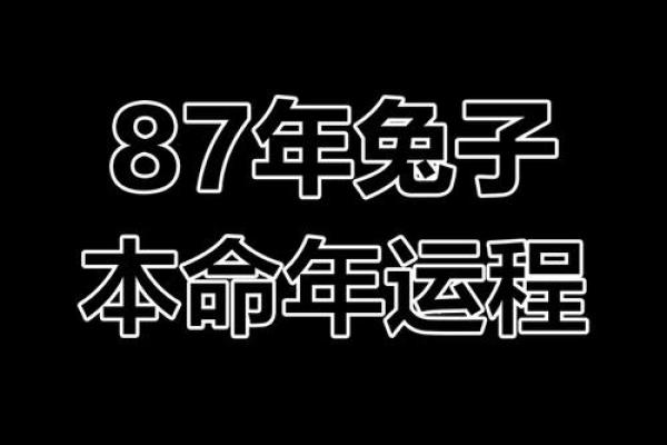探寻1982年属兔人的命运与人生哲学：兔年生人应如何自我提升与成长