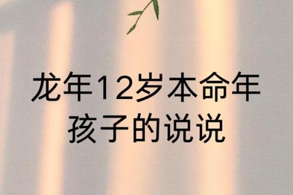 他的命也是命：探寻生活与命运的交织之歌