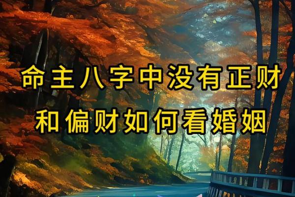 通过生辰八字，深度解析您的命运与人生轨迹