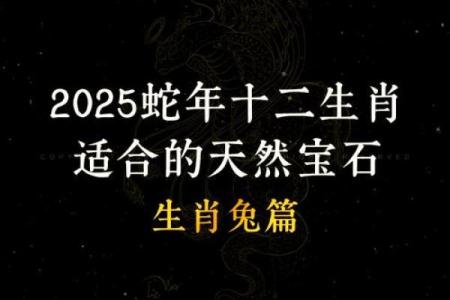 探寻1982年属兔人的命运与人生哲学：兔年生人应如何自我提升与成长