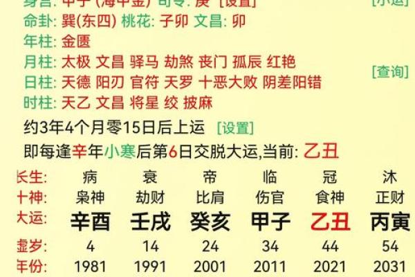 探秘八字命理：乙卯、乙酉、乙亥、壬午的命运解析