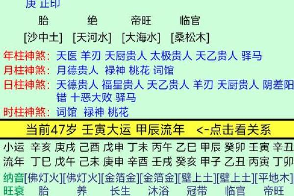 探究什么年什么命的命是属性，揭示命运背后的秘密