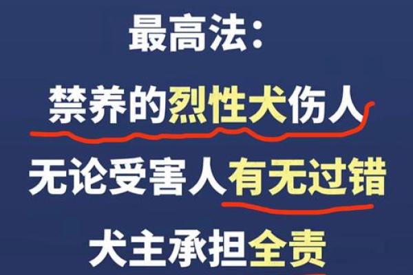 土豪养狗的命：一只狗狗的奢华人生与主人之间的羁绊