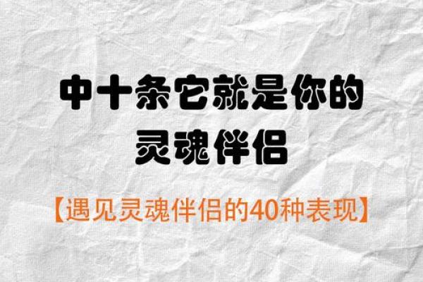 探寻“真命情人”的深意与意义，如何找到属于你的灵魂伴侣？