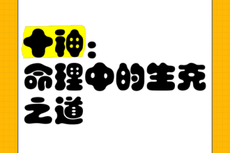 岁运十神：领略命理的深邃与魅力