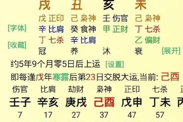 探秘辛亥年最优八字：命理中的财富与成就之道