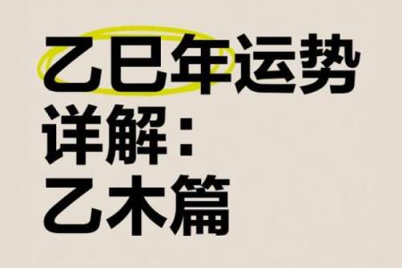 乙木命缺土，适合从事的职业与生活方向探讨