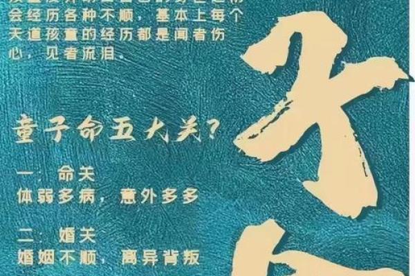 童子命与理科差异的深层解析：揭示命理背后的真相