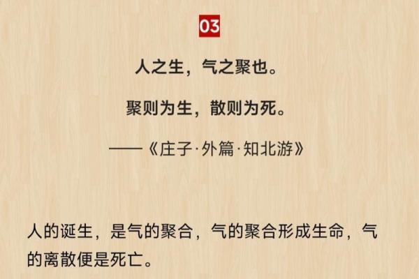 探讨“生死由命”的深刻哲理与生活启示