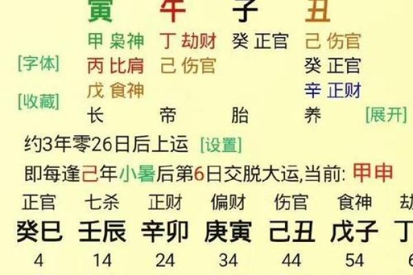 辛卯女命揭秘：独特个性与命理特征的深度解析