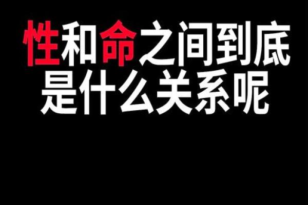 探索命运与脾气的奇妙关系，揭示人生的密码与秘密！