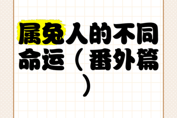 兔子在岁月中：59岁之后的命运与人生智慧探寻