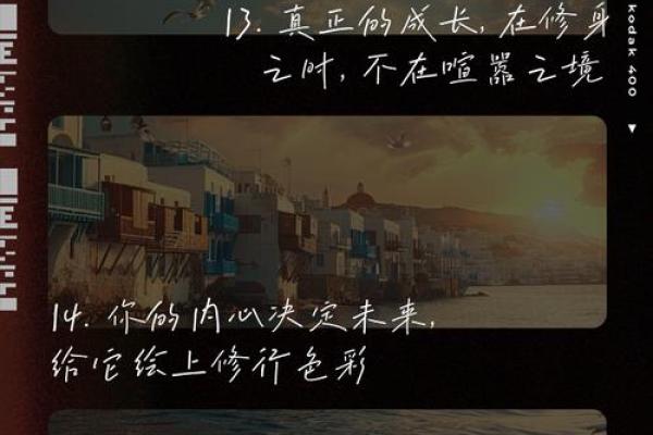 一命换你一时无忧，让我们一起解读生活中的选择与牺牲