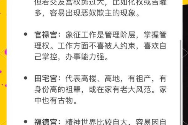 探索命理学的魅力：什么样的命盘最适合深入研究？