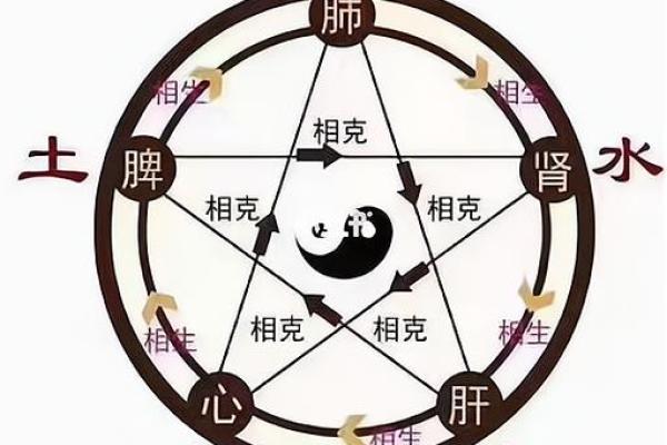 探索生命的元素：金命与土命的奥秘