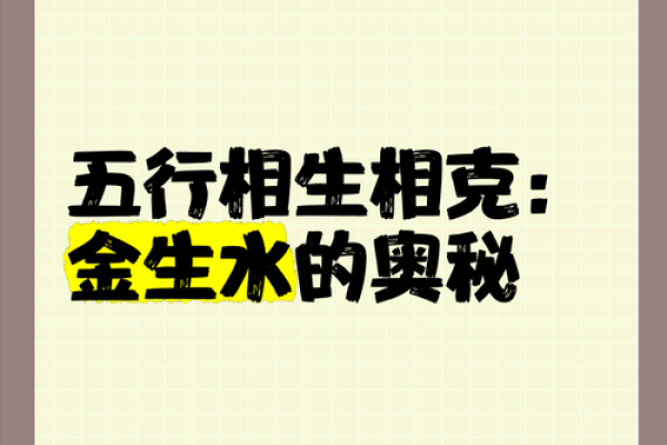 探索生命的元素：金命与土命的奥秘