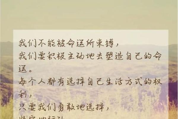 英雄命短，历史中的悲惨命运与勇敢绽放