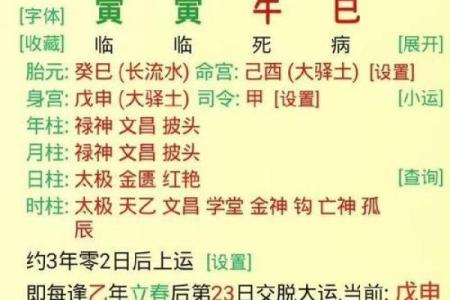 探秘水命人：最具灵性与适应力的八字命理解析