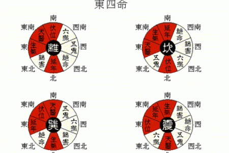 探寻命卦之谜：如何了解自己的命卦属相？