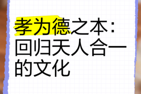 孝子命：探寻中华文化中的孝道与人生哲学