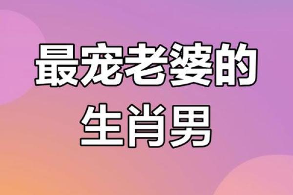 属猪之牛进食的命运与生活哲学探寻