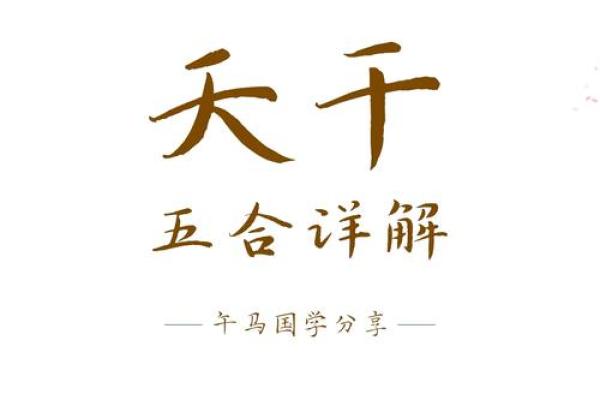 探寻命理的奥秘：逆合命与合命的深层关系