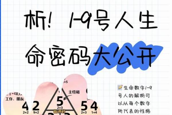 晚景无忧：解析命格与人生的和谐之道