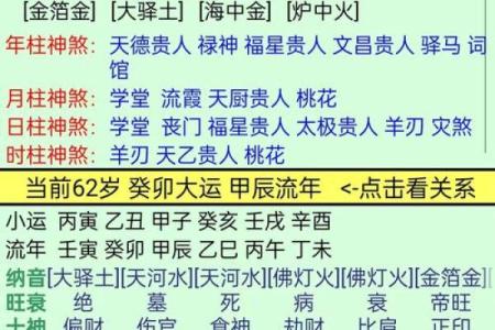 辛丑癸巳辛巳壬辰命解析：追寻命运的奥秘，揭示人生的平衡与和谐