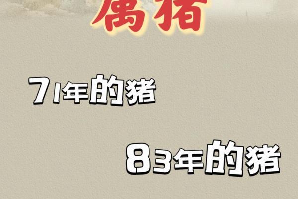 属猪山头火命最佳配偶：与哪些属相相辅相成？