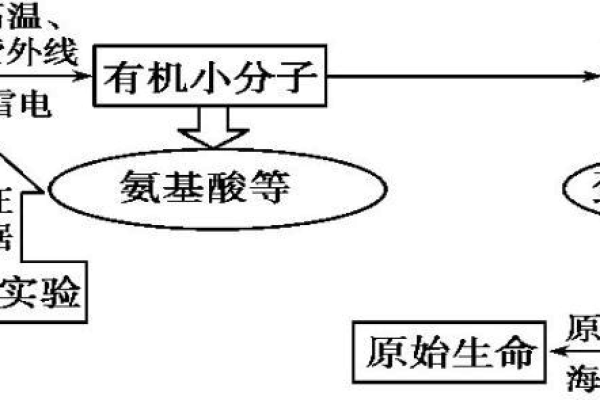 胎生元命说：探秘生命起源与宿命的奥秘