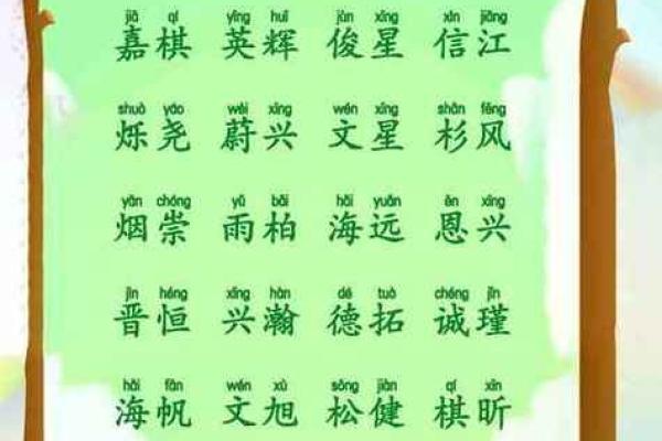 王姓女孩的水命取名艺术：怎样为她选择一个优雅动听的名字？