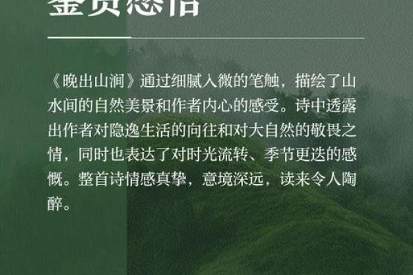 探秘山涧水命：自然流淌中的生命之韵与智慧