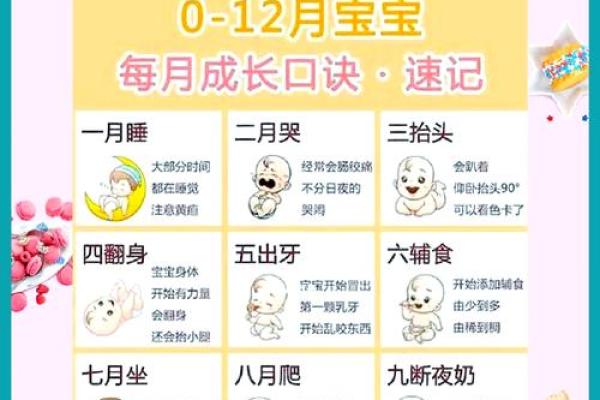 探寻2017年12月份出生宝宝的命运与性格特征