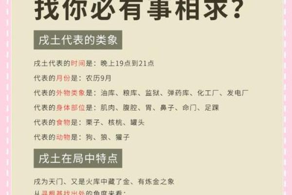 探寻1974年属相与命理：深入解析七四年人的命运与性格特征