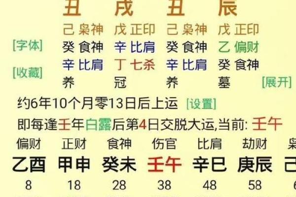 乙丑年丙午五行命理解析：探寻命运的奥秘与人生的方向