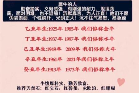 探秘双猪双牛命：命理中的独特象征与深刻内涵