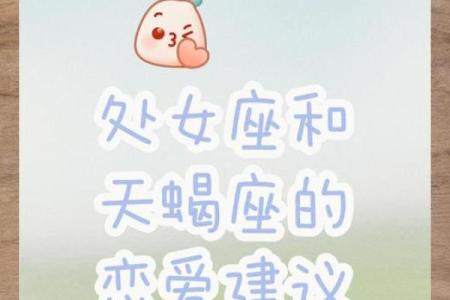 天蝎座与处女座：星座命理中的神秘与理性之交融