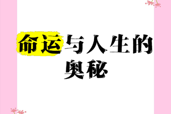 探秘命运的奥秘：一命三命五命的真正含义与启示