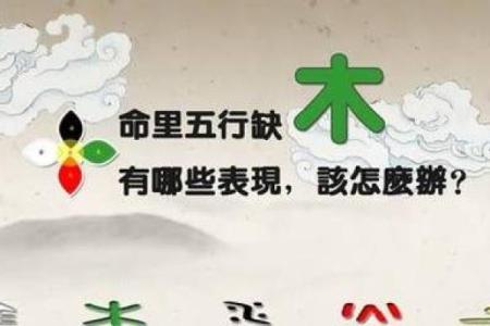 松柏木命者的五行缺失：揭示与弥补之道